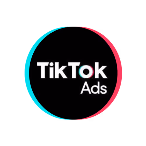 TikTok Ads partner